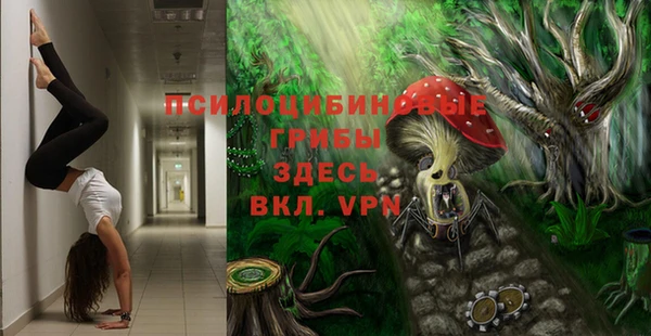 МДПВ Алексеевка