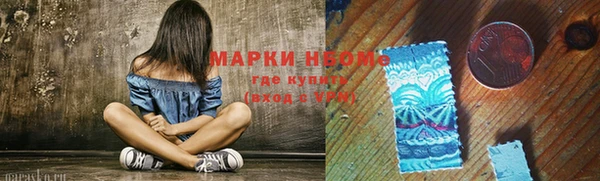 мет Алексин